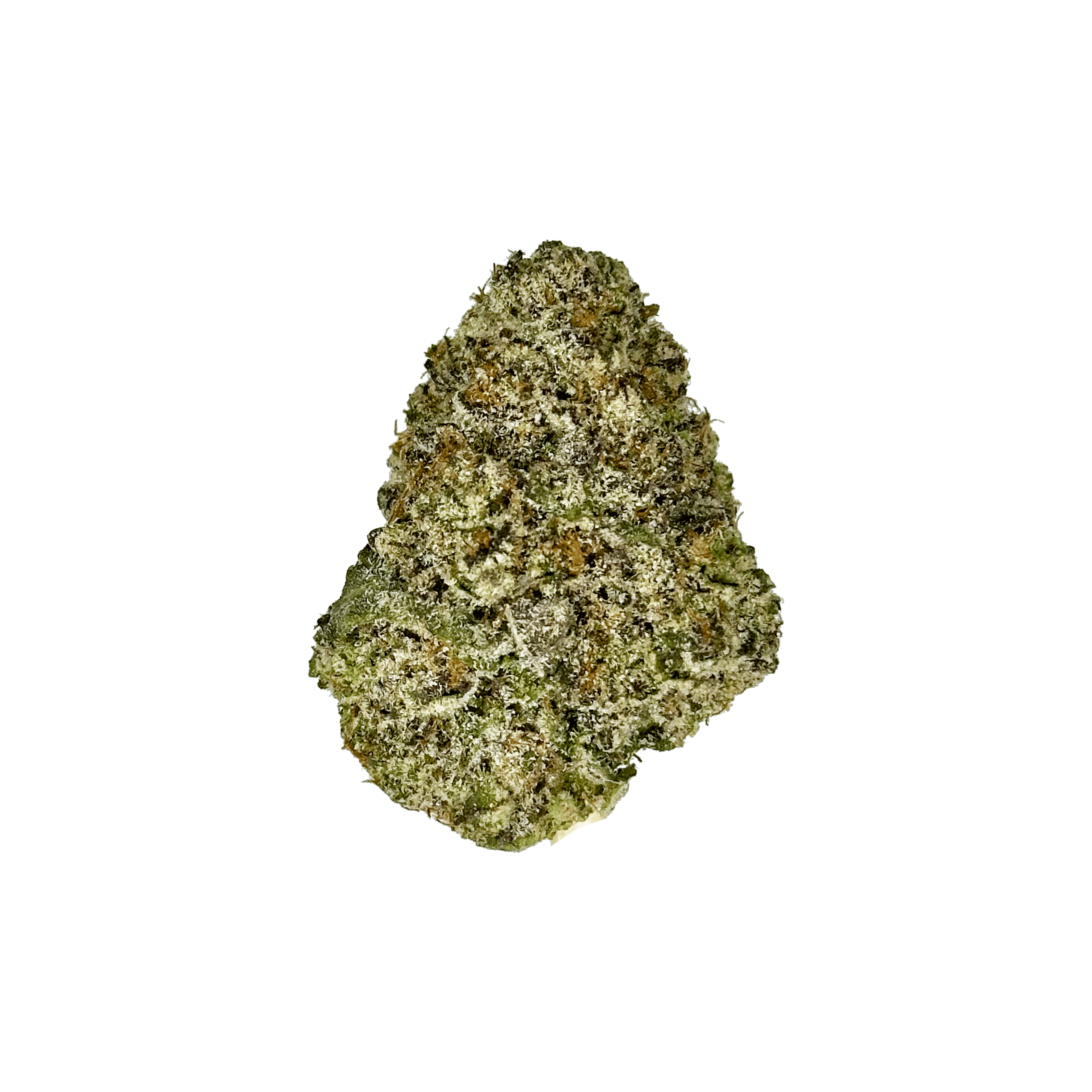 Indoor Trump Runtz strain - THCA Flower